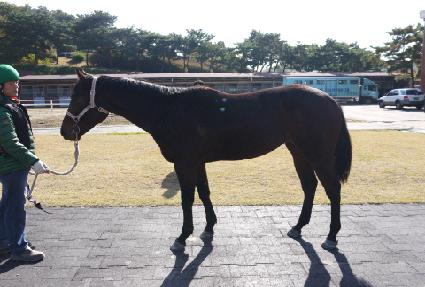 �ʰ��Ӹ� ����