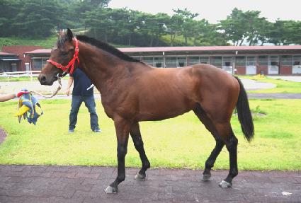 ���ǵ�ǳ ����