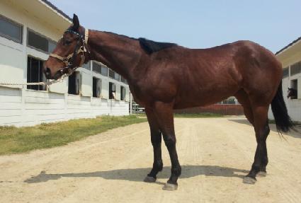 �ƴ㼺 ����