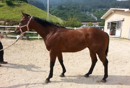 ��Ÿ ����