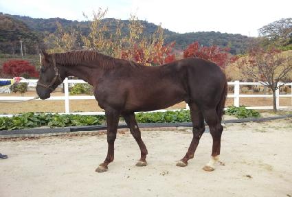 ������ ����