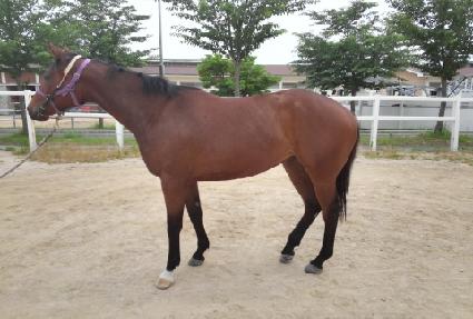 �������ǵ� ����