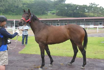 �ʰ��� ����