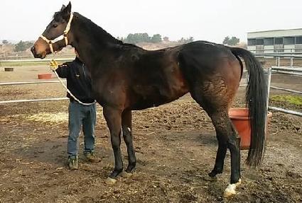 ����ķ�� ����