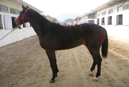 �������� ����