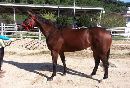 ������ ����