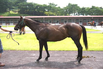 ������ġ ����