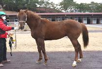 �䵿Ư�� (YODONG TEUKGEUP) ����