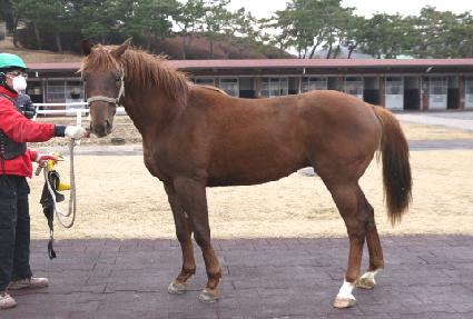 �䵿Ư�� ����