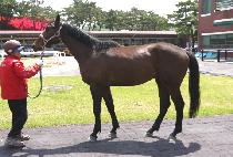 MUJEOK HWANGJE picture