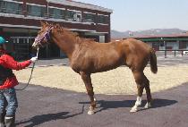 CHEONGNYONG BISANG picture