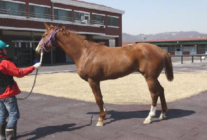 û���� ����