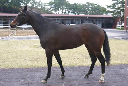 �����̷��� ����