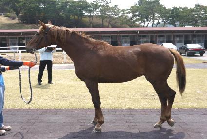 ��Ʈ���ʵ� ����