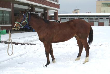 ���̽� ����