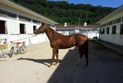 ���׳ѹ� ����