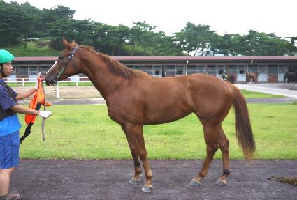 �������� ����