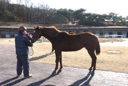 �õ��� ����