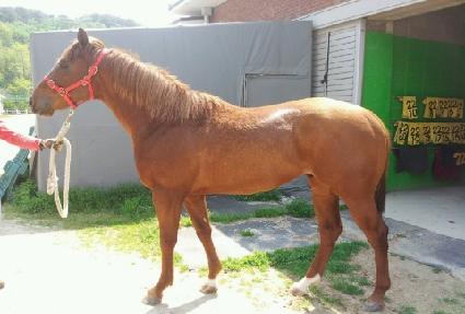 ���¹��� ����