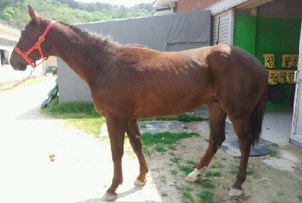 ���ǵ�ȣũ ����