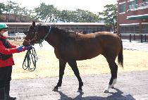 ��� (DAEKKUM) ����