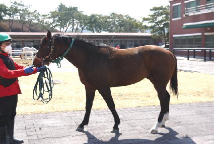 ��� ����