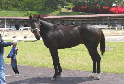 ���� ����