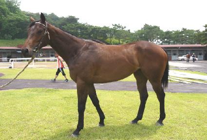 ������ ����