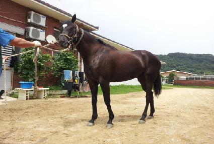 ������� ����