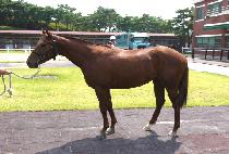 �׷����� (GRAND BABBLE) ����