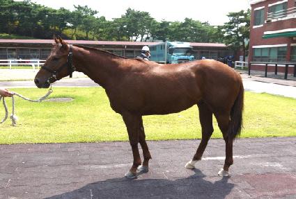 �׷����� ����