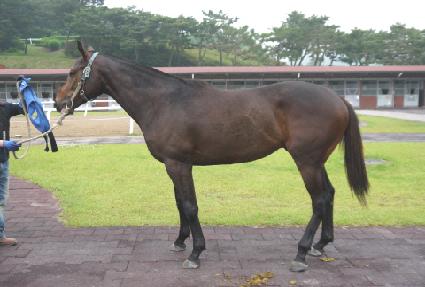 �����Ǻ� ����