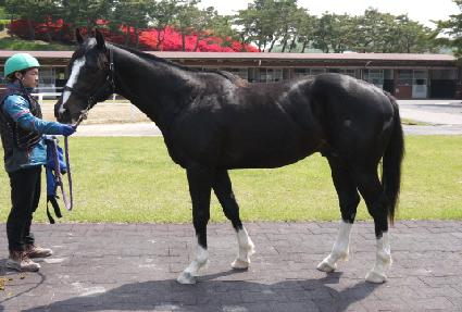 �ƶ����� ����