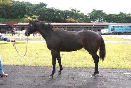 ���ְ�� ����