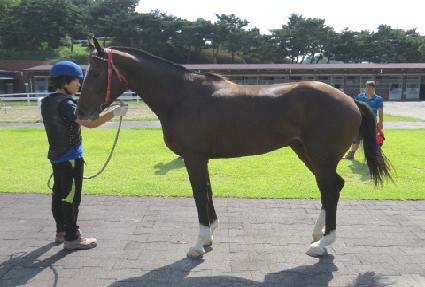 ŷ��ġ ����