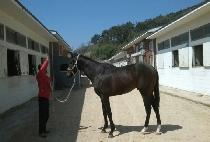 ū�� (KEUNNOM) ����