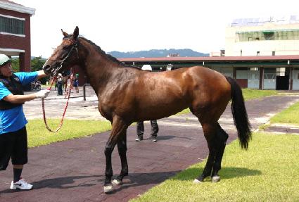 ����Ʈ ����