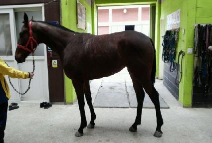 �Ҹ�õ ����