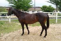 �������� (GUMPO YEONGUNG) ����