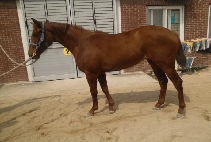 ���ο����� ����