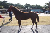 ��������� (ONE MORE CHANCE) ����