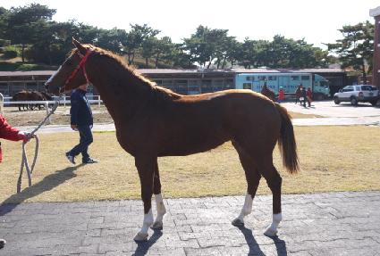 ��������� ����