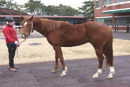 �̶�Ŭ���� ����