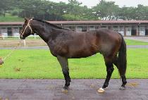 �̶�Ŭ���� (MIRACLE MARINE) ����