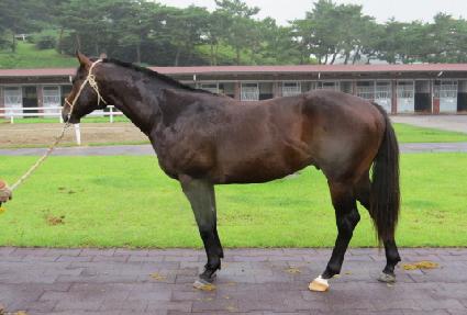 �̶�Ŭ���� ����