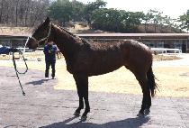 �̶�Ŭ���� (MIRACLE JEONGSANG) ����