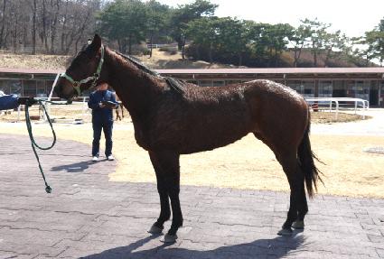 �̶�Ŭ���� ����