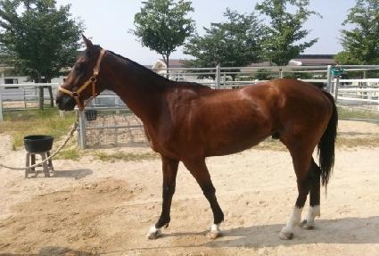 ��ȣĸƾ ����