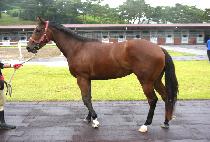 ���ź�� (HUIMANG TALLYEOK) ����