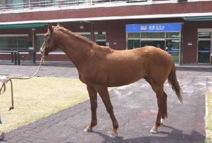 ��Ʈ�ջ��� ����